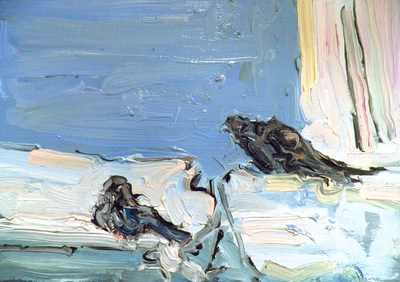 Pigeons, Oil on Card, Martin Hill